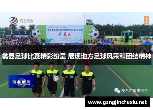 蠡县足球比赛精彩纷呈 展现地方足球风采和团结精神