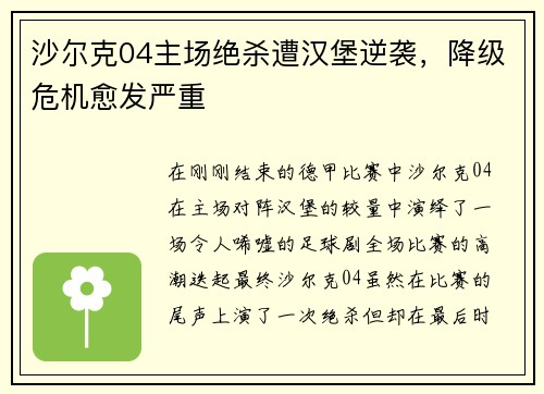 沙尔克04主场绝杀遭汉堡逆袭，降级危机愈发严重
